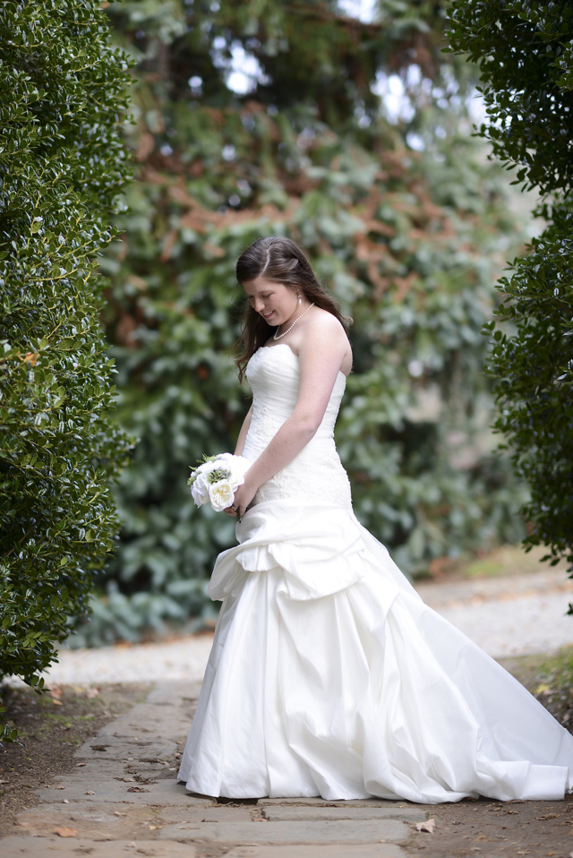 dsc_9195-copy-e1549205452264