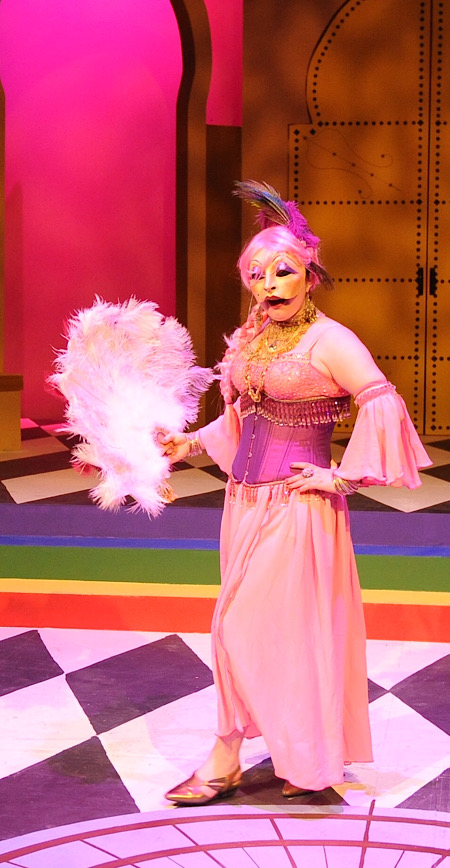 Pink corset costume design